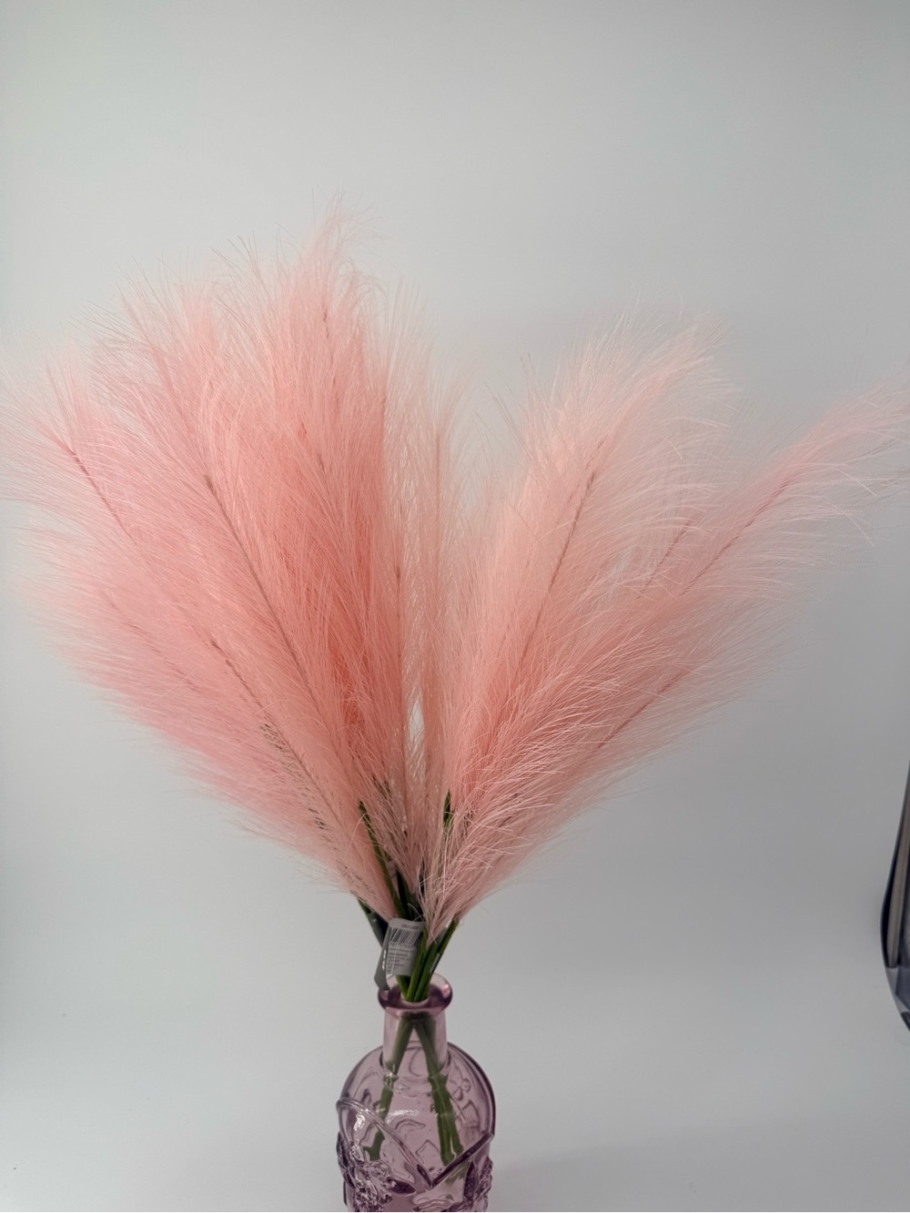Feminine Pink Pampas Grass Stems - Soft Blush Home Accent